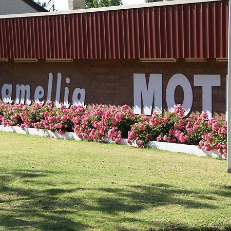 نارانديرا Camellia Motel المظهر الخارجي الصورة