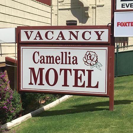 نارانديرا Camellia Motel المظهر الخارجي الصورة