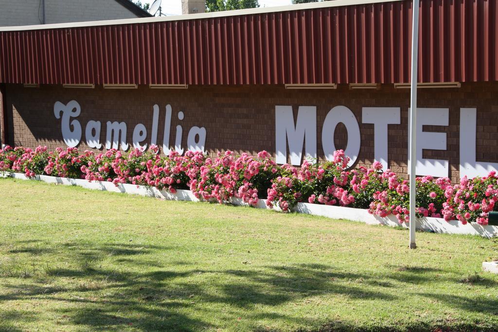 نارانديرا Camellia Motel المظهر الخارجي الصورة