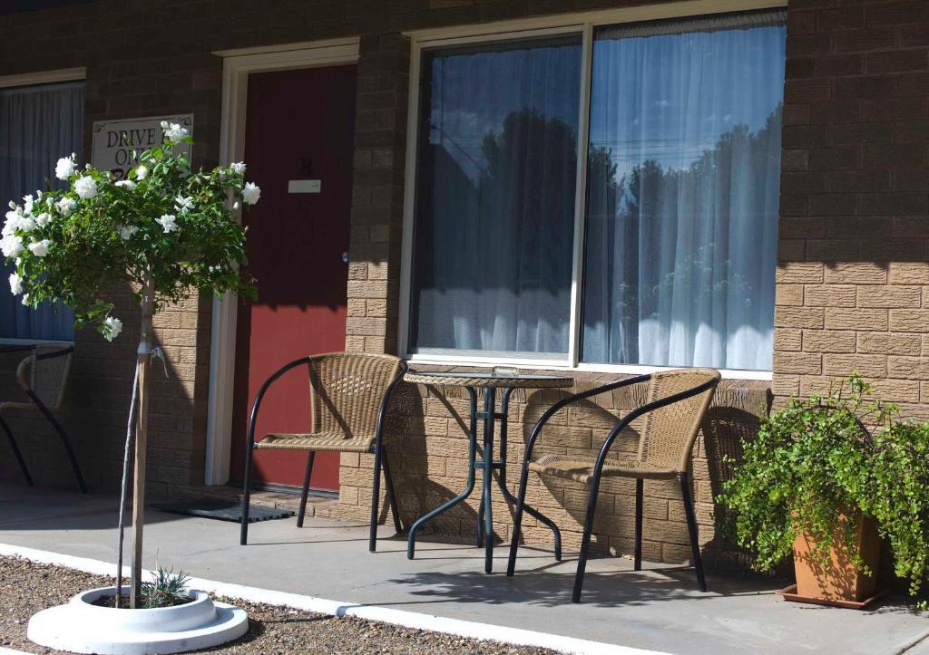 نارانديرا Camellia Motel المظهر الخارجي الصورة